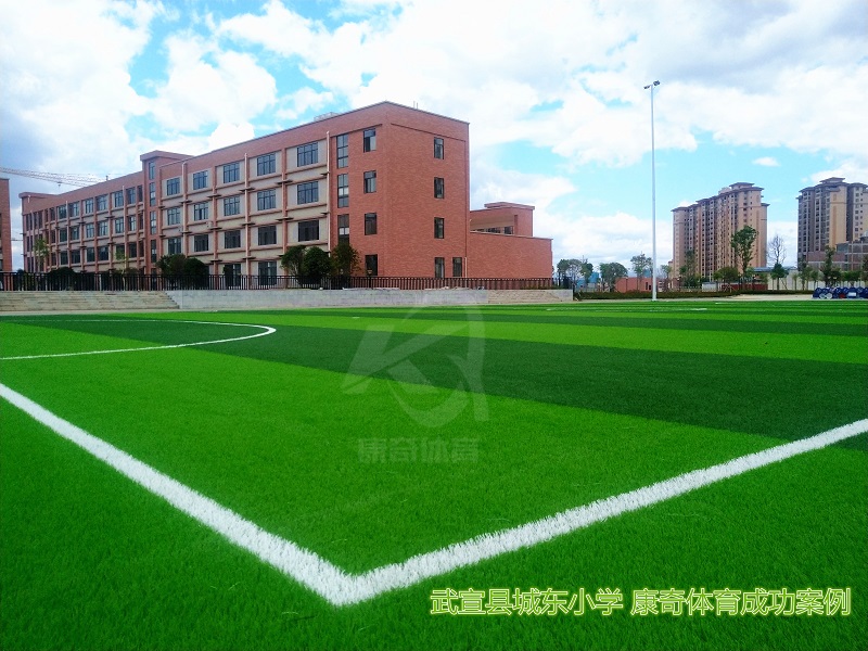 來賓武宣縣城東小學 人造草坪足球場成功案例——康奇體育